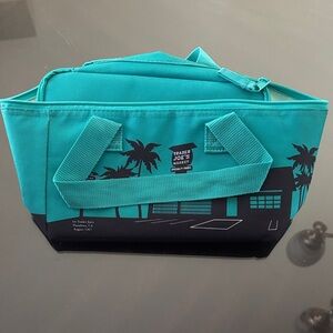 Teal Trader Joe's Mini Insulated Bag in Teal
